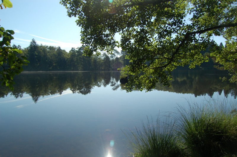 Le lac de St Priest de Gimel