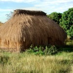 maison en paille