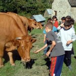 ferme de pierre