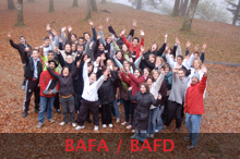 BAFA / BAFD