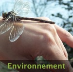 environnement