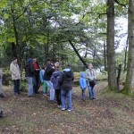 50 ans – activité