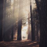 casey-horner-D4TooCIEyF4-unsplash