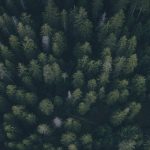 fabio-comparelli-JYjZDhUjaPU-unsplash