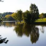 Lac-3