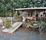 camping-2-1